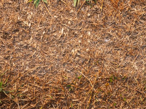 Close-up of Soil Background in Agriculture Lan
