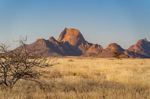 A red rock illuminated with a sunray, in a dry field in Spitzkoppe, Namibia, with a dead tree in the background, on sunny day
