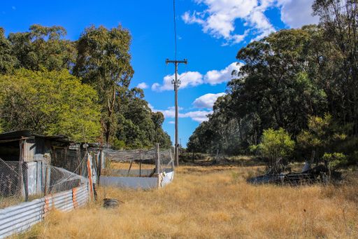 A rustic shed and power lines in a bushland in Emmaville, New South Wales, Australia