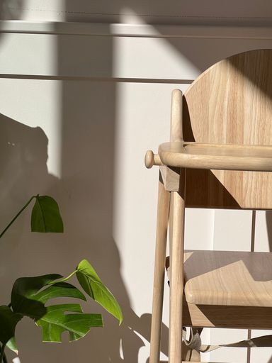 A vertical shot of a wooden chair in daylight with shadows on the wall and a green plant next to it