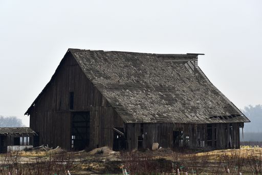 A landscape shot of an abandoned wooden farm