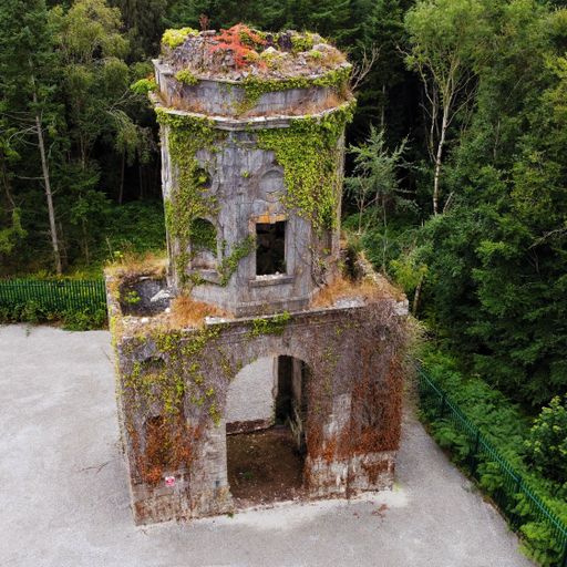 An aerial view of an old, abandoned church covered in moss in a forest on a clear day