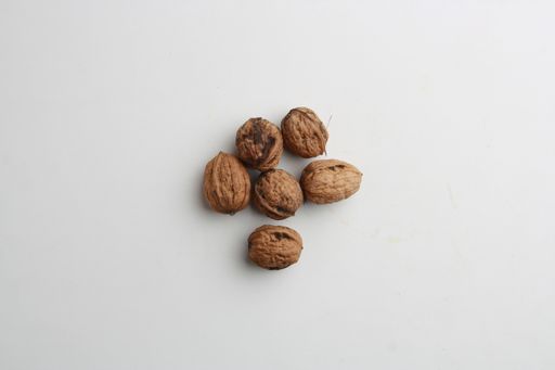 A top view of a pile of walnuts on a gray surface under the lights
