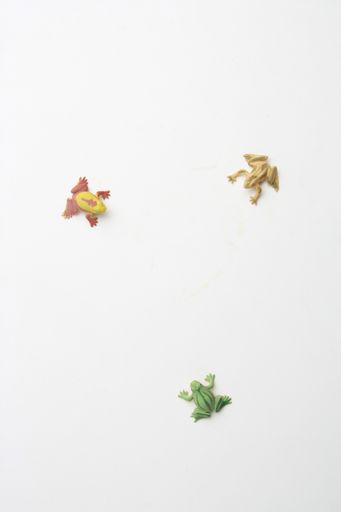 A top view of frog-shaped rubber toys on a gray surface