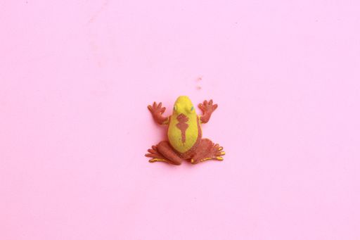 A top view of a frog-shaped rubber toy on a pink surface