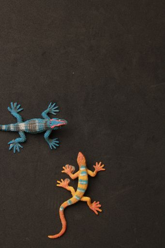 A top view of colorful small lizard-shaped toys on a dark surface