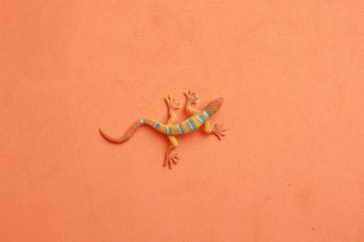 A top view of a lizard-shaped rubber toy on an orange surface
