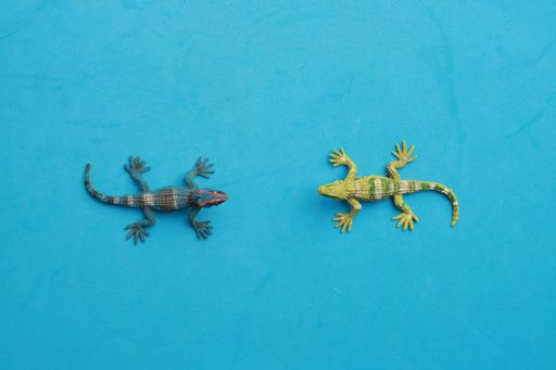 A top view of colorful small lizard-shaped toys on a blue surface