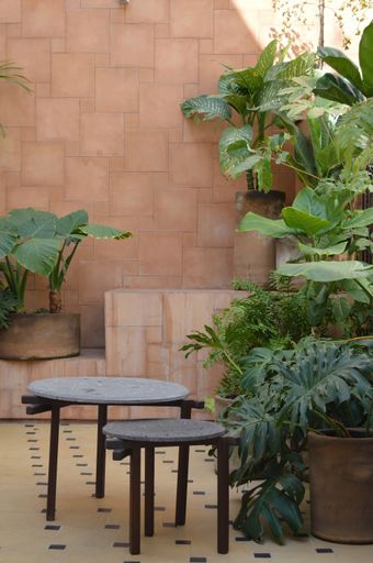 An outdoor terrace with outdoor coffee tables surrounded by plants