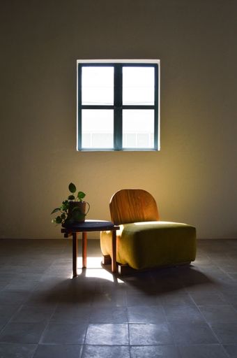 A minimalistic interior with armchair near little table with plant