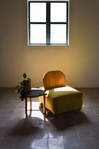 A minimalistic interior with armchair near little table with plant