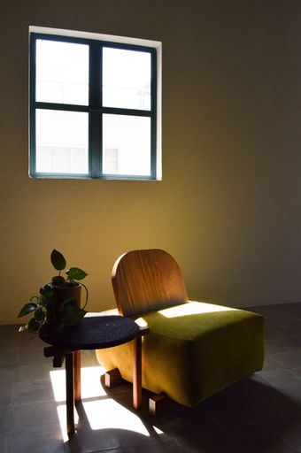 A minimalistic interior with armchair near little table with plant