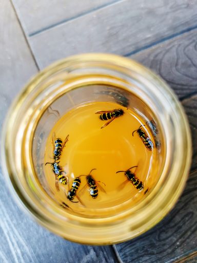 A vertical overhead shot of bees in a yellow glass
