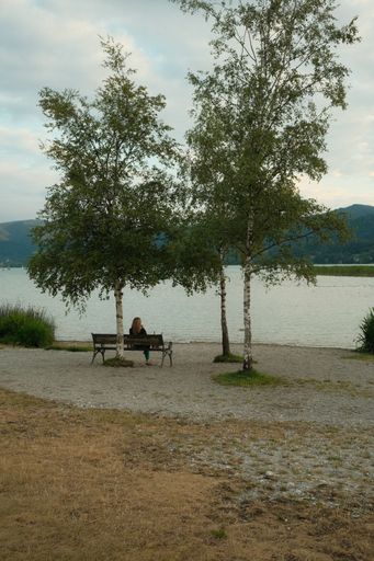A woman sitting alone on a bench under two birch trees and admiring the Tegernsee in Bavaria, Germany