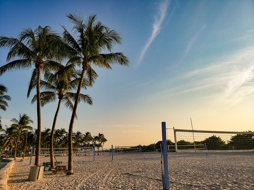 A beautiful view of volleyball court on the sandy beach and palm trees at sunset