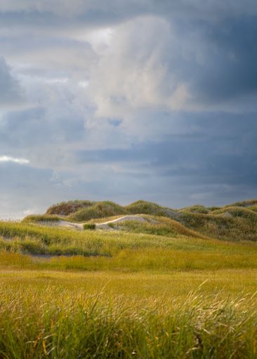 A vertical shot of green landscape under cloudy blue sky