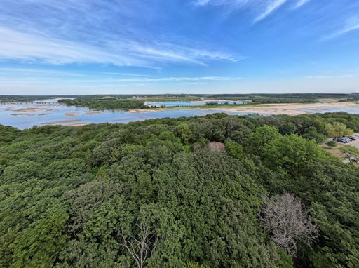 An aerial view of green tops of trees by the lake in the morning