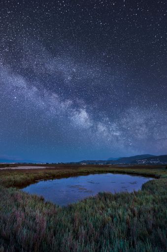 A vertical shot of the milky way over a pond