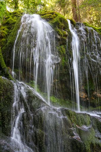 A vertical shot of a waterfall in a forest covered in greenery under the sunlight