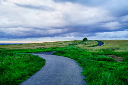 The empty countryside road surrounded by green vegetation against the background of the cloudy sky.