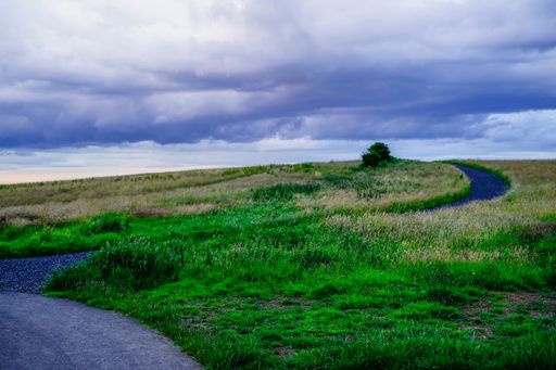 The empty countryside road surrounded by green vegetation against the background of the cloudy sky.