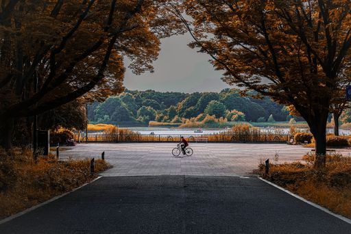 A beautiful view of a Japanese Bicyclist riding through the park in autumn, Tachikawa