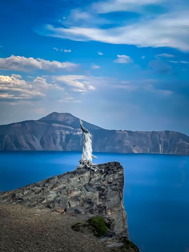 A vertical shot of Crater lake with a dead tree on a cliff in Oregon