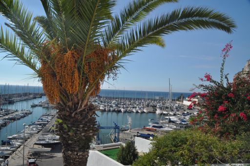 A sunny scenery of a beautiful coastal harbor with lots of boats