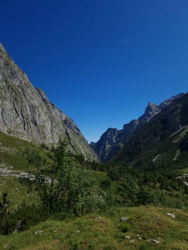 A beautiful view of a sunny wilderness with lush green fields and trees surrounded by tall mountains under a clear blue sky