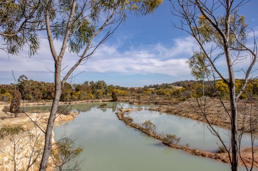 A nice little lake on a cloudy day