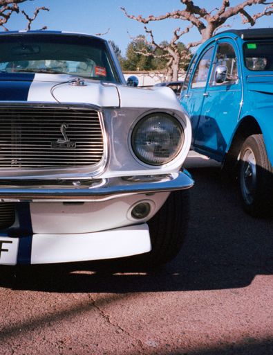 A vertical closeup shot of an old white first-generation Ford Mustang with a black stripe parked near a blue retro car