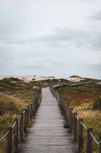A vertical shot of a wooden pathway in a green coastal field on a cloudy day