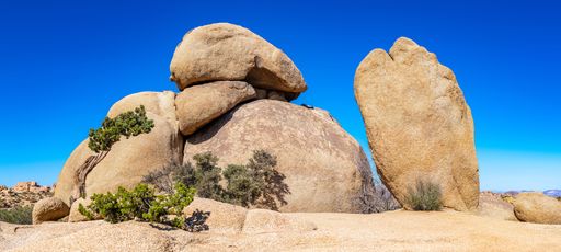 A beautiful shot of huge stones in a desert and some plants growing on them with the bright sky in the background