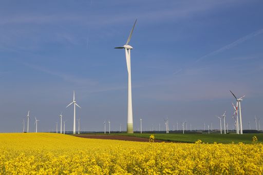 Wind engines in a rapeseed field in Germany against the blue sky