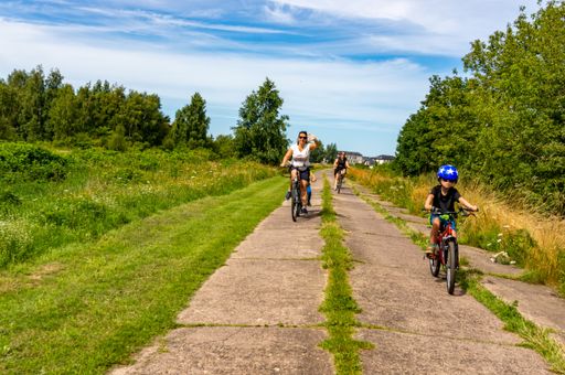 Adults and kids riding bikes on a pathway along trees and grass on a sunny summer day.