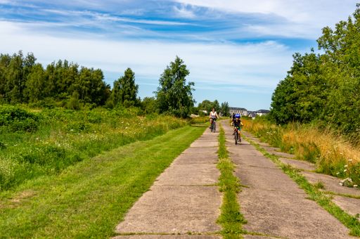 Adults and kids riding bikes on a pathway along trees and grass on a sunny summer day.