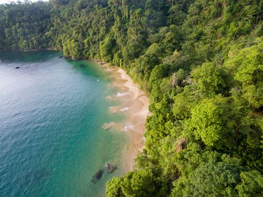 Remote Caribbean bay with beach and forest in the background. This area is part of UNESCO North-East Tobago Man and the Biosphere Reserve