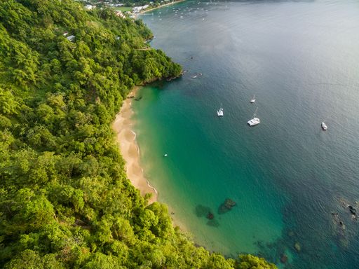 Areal of yachts anchoring in Caribbean bay with beach and forest. This area is part of UNESCO North-East Tobago Man and the Biosphere Reserve