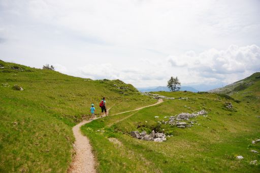 Woman and child walking on a footpath along green grass on the Alp mountains.