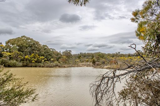 A nice little lake on a cloudy day