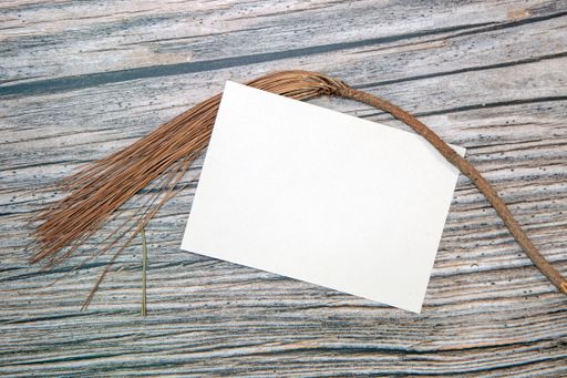 A top view of a blank sheet of paper with copy space and dried plants on a wooden surface