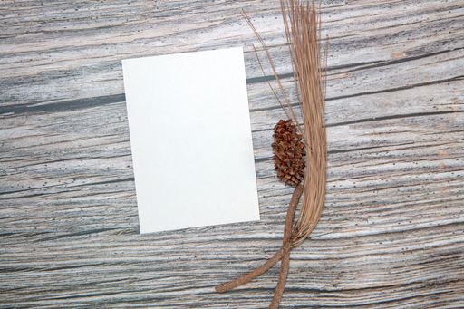 A top view of a blank sheet of paper with copy space and dried plants on a wooden surface