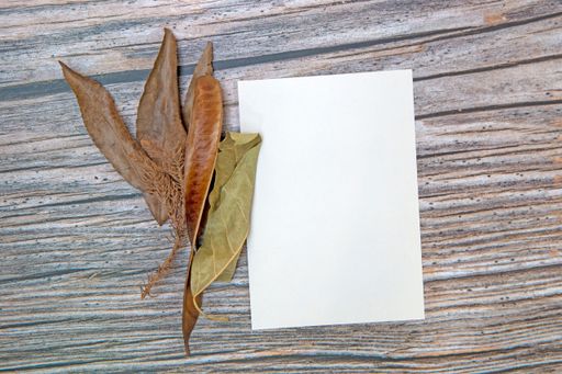 A top view of a blank sheet of paper with copy space and dried leaves on a wooden surface