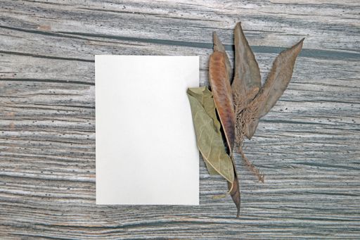 A top view of a blank sheet of paper with copy space and dried leaves on a wooden surface