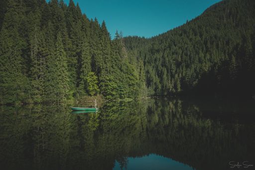 The beautiful forest surrounding a lake reflecting the amazing tree covered hills under the blue sky