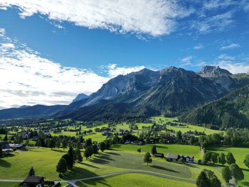 A beautiful view of a green grass land with trees and mountains in the background under a clear blue sky