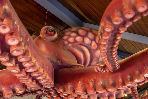 A close-up of a red plastic octopus decoration hanging from the ceiling