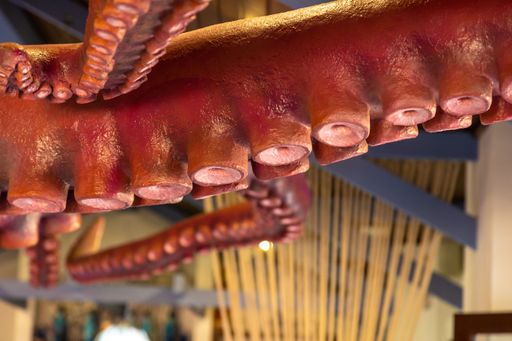 A close-up of a red plastic octopus decoration hanging from the ceiling