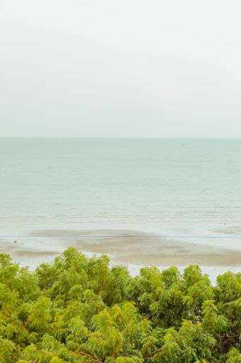 A vertical shot of the calm sea with green coastline trees under the clear sky