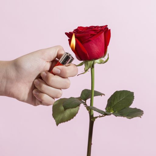 A closeup of a person's hand putting a rose flower on fire with a lighter
